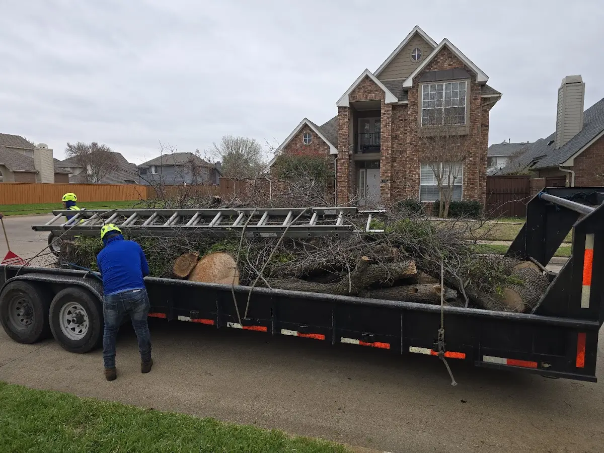 Expert Tree Fertilization with proper safety equipment in Caspar